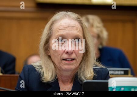 Washington, Stati Uniti d'America. 01st Feb, 2023. Il rappresentante degli Stati Uniti Mary Gay Scanlon (democratico della Pennsylvania) partecipa a una Camera Committee sull'audizione giudiziaria "The Biden Border Crisis: Part i" nel Rayburn House Office Building di Washington, DC, mercoledì 1 febbraio 2023. Credit: Rod Lammey/CNP/Sipa USA Credit: Sipa USA/Alamy Live News Foto Stock