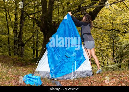 donna con outdoor attrezzatura messa in piedi la sua tenda in una radura dopo una giornata di escursioni nel bosco Foto Stock