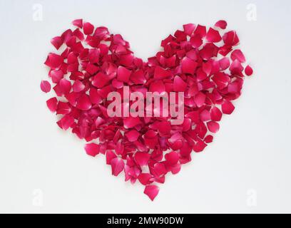 San Valentino cuore di petali di rosa rossa su sfondo bianco. Romantico fiore cuore decorazione creato da petali di rosa. Foto Stock