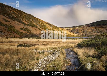 Vecchio muro di pietra e un piccolo fiume o ruscello che conduce a Lough Dan in una valle, Wicklow Mountains, Irlanda Foto Stock
