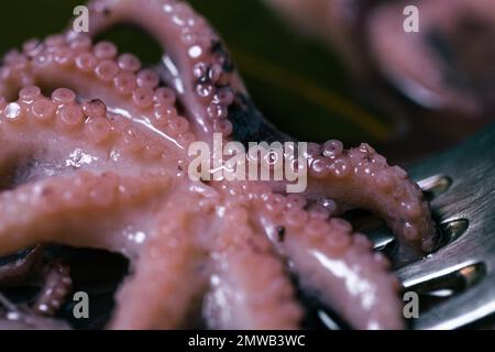 Il polpo bollito è nella padella. Il pulpo a la Gallega (polpo galiziano) è un piatto tipico della Galizia. Foto Stock