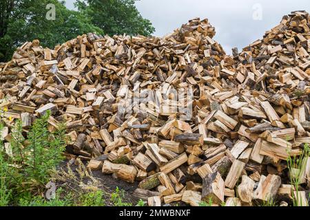 Pila di legna da ardere tagliata e spaccata su un lotto di terra in estate. Foto Stock