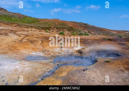 Area geotermica di Seltun, giacimenti minerali, sistema vulcanico di Krysuvik, Islanda Foto Stock