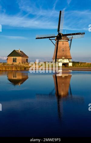 Mulino a vento De Traanroeier, Het Noorden Molen, Texel, Paesi Bassi Foto Stock
