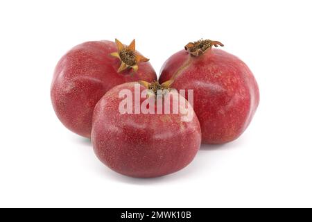 Tre frutti di melograno interi isolati su fondo bianco Foto Stock