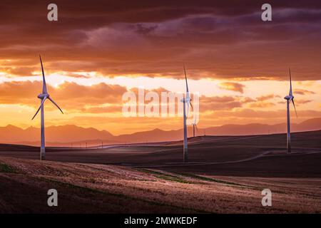 Mulini a vento al tramonto che generano elettricità che si affaccia su montagne lontane su campi agricoli vicino a Pincher Creek Alberta Canada. Foto Stock