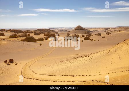 Wadi al-Hitan (Valle delle balene) sentiero, nel deserto occidentale d'Egitto Foto Stock