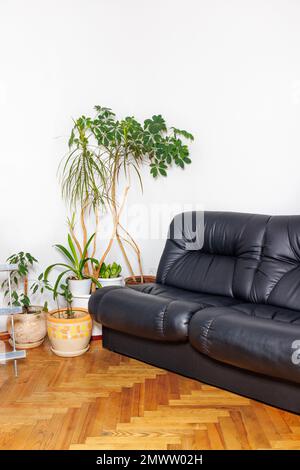 Angolo vintage nel salotto di uno spazio ufficio con morbide poltrone e piante verdi da interno. Foto Stock