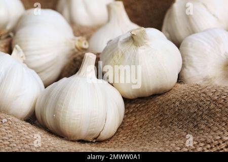 Aglio in cucina su biancheria - macrofone Foto Stock