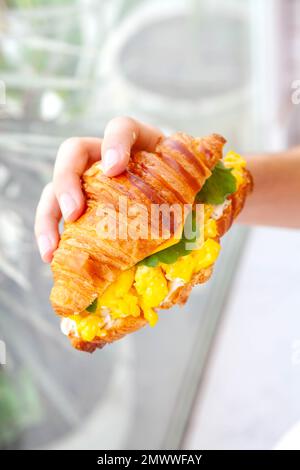 Tenere a mano un panino brioche con croissant e formaggio ripieno di uova strapazzate e foglie di rucola. Foto Stock