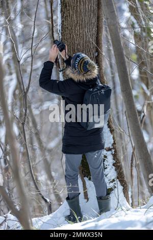 un uomo nella foresta in inverno è in piedi accanto ad un albero, tenendo la sua macchina fotografica in alto e scattando una foto di qualcosa sull'albero.ha uno zaino Foto Stock