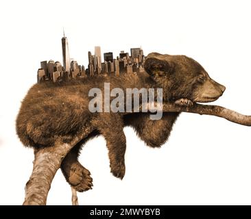 Orso addormentato. Silhouette cittadina sulla schiena dell'orso. L'orso dorme sul ramo. Per togliere la vita naturale degli animali. Manipolazione delle foto. Foto Stock