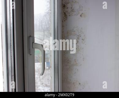 Il pendio vicino alla finestra è coperto da macchie di umidità, fungo copre la parete. Stampo nero con macchie gialle su una parete bianca. Foto Stock