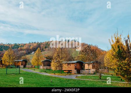 Faggio giallo su un pendio collinare con travi a vista a valle. Luogo Germania, Europa. Colori vivaci e freschi. Fotografia di paesaggi Foto Stock