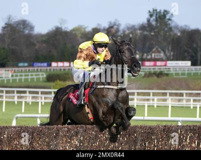 File foto datata 06-02-2022 di Galopin Des Champs, che è il nome della stella tra i sette corridori dichiarati per la Paddy Power Irish Gold Cup a Leopardstown il sabato. Data di emissione: Giovedì 2 febbraio 2023. Foto Stock