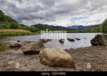 Lake District, England, Cumbria, UK - Elter lago d'acqua vicino al villaggio di Elterwater nella valle di Great Langdale Foto Stock