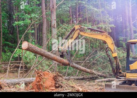 Il lavoro di deforestazione è stato condotto utilizzando manipolatori di trattori che sradicavano alberi che sollevavano tronchi per preparare terreni per la costruzione di abitazioni. Foto Stock