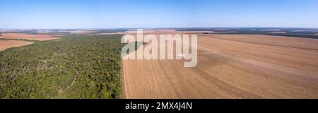 Vista aerea della deforestazione illegale amazzonica all'interno di una fattoria di soia. Gli alberi della foresta tagliano per aprire il campo agricolo. Concetto di cambiamento climatico, riscaldamento globale Foto Stock