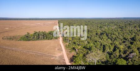 Vista aerea della deforestazione illegale amazzonica all'interno di una fattoria di soia. Gli alberi della foresta tagliano per aprire il campo agricolo. Concetto di cambiamento climatico, riscaldamento globale Foto Stock