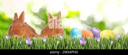 Adorabili coniglietti e uova di Pasqua su erba verde Foto Stock