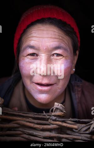 Ritratto di una donna Ladakhi, Photoksar, Ladakh, India Foto Stock