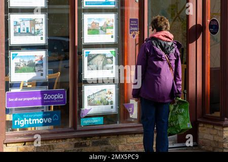 Foto datata febbraio 2nd mostra le persone che cercano nelle finestre degli agenti immobiliari a Ely, Cambs, il Giovedi mattina come è annunciato ci sarà un altro inc Foto Stock