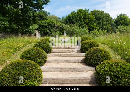 Palline Box tagliate in modo ordinato che conducono a un sedile di legno nel parco di Arundel Castle, West Sussex, UK Foto Stock