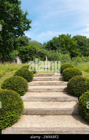 Palline Box tagliate in modo ordinato che conducono a un sedile di legno nel parco di Arundel Castle, West Sussex, UK Foto Stock