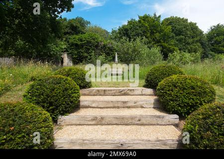 Palline Box tagliate in modo ordinato che conducono a un sedile di legno nel parco di Arundel Castle, West Sussex, UK Foto Stock