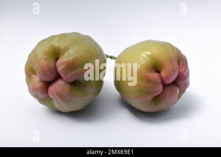 Mele di rosa fresche o chomphu isolato su sfondo bianco. Foto Stock