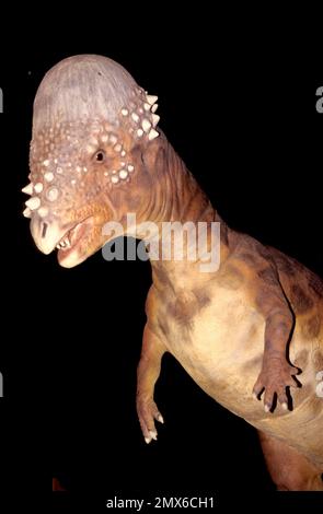 Dinosauri animatronici a grandezza naturale della società americana Dinamation Corp esposti al ‘Dinosaurs Alive!’ Mostra all'Alexandrea Palace Delight visi Foto Stock