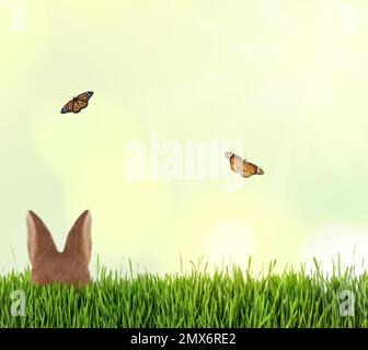 Carino coniglietto di Pasqua nascosto in erba verde all'aperto Foto Stock