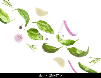 Foglie di basilico e altri ingredienti su sfondo bianco Foto Stock