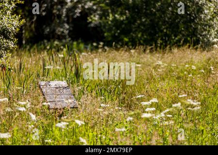 Blunsdon & Swindon Fotografia locale Foto Stock