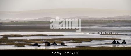 Vista sul fiume Torridge dallo Skern in inverno. Paesaggio naturale con bassa marea. Devon, Regno Unito. Foto Stock