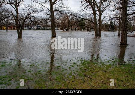 Il fiume DuPage, che attraversa Shorewood, Will County, Illinois, è inondato da una rara pioggia di venti anni. Foto Stock