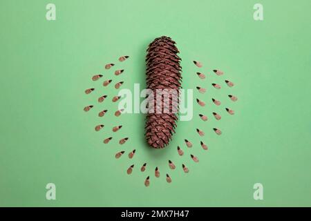 Semi di conifere. Gruppo di semi di abete con cono marrone, giacitura piatta, fondo verde. Botanica, piantando piante giardinaggio. Concetto di rimboschimento, cura del pianeta, e Foto Stock