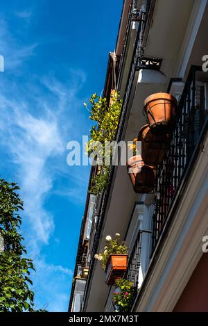 Strada nel centro storico di Madrid, tradizionale balcone in ferro con pentole appese alla ringhiera Foto Stock