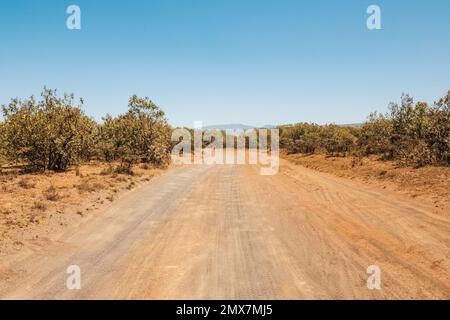 Un safari vuoto pista da corsa rally a Naivasha, Kenya Foto Stock