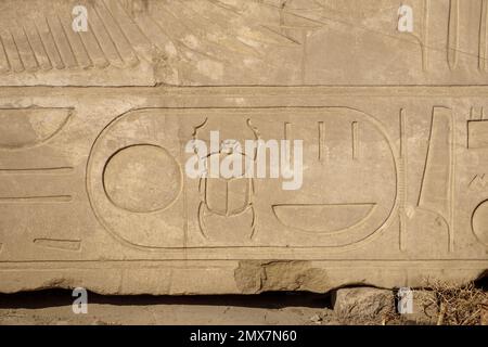 Il cartouche di Tutankhamon su un blocco di pietra al Tempio di Karnak, Luxor, Egitto Foto Stock