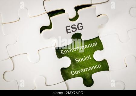 ESG concetto ambientale, sociale e di governance. ESG parole su puzzle block esposto, idea per lo sviluppo sostenibile dell'organizzazione. prendere in un Foto Stock