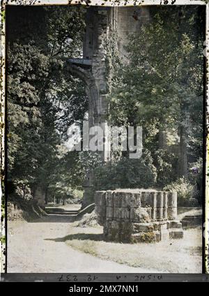 Longpont, Aisne, Francia i resti della vecchia abbazia cistercense fondata nel 1132 , 1917 - Aisne - Fernand Cuville (sezione fotografica dell'esercito) - (maggio-luglio) Foto Stock