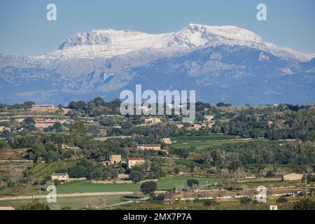 Puig maggiore innevato visto dai campi coltivati di Montuiri, Maiorca, Isole Baleari, Spagna Foto Stock