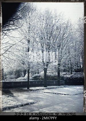 Proprietà di Albert Kahn, Boulogne, Francia immagazzinata con alberi di lime del giardino francese sotto la neve, Foto Stock