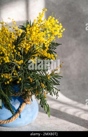 Vaso con fiori di mimosa giallo primavera in giornata di sole su tavola di pietra Foto Stock