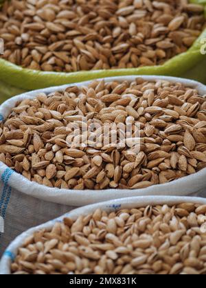 Mucchio di deliziosi pistacchi messi in sacchetti di plastica in stalla con vari tipi di noci in commercio Foto Stock