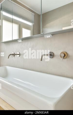 Bagno dal design contemporaneo con grande lavandino bianco e rubinetti sul mobile sotto lo specchio Foto Stock