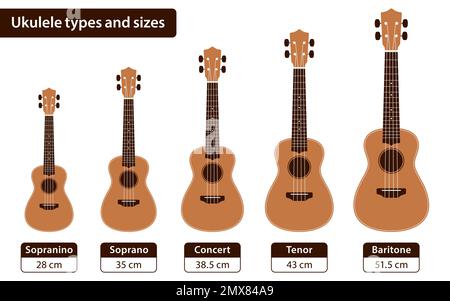 Confronto dimensioni Ukulele per bambini e professionisti in centimetri, poster vettoriale a diagramma piatto. Illustrazione Vettoriale