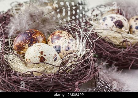 Rustic still life - uova di quaglia in nido su una superficie di cemento ruvida, primo piano con il posto per il testo, stile di Pasqua Foto Stock