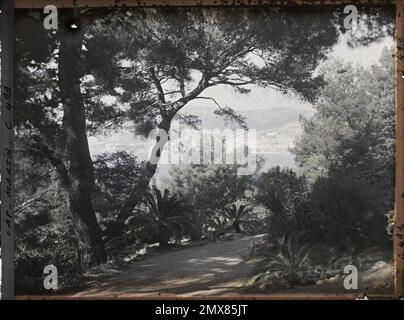 Villa Miramar, Proprietà di Albert Kahn, Cap Martin, Francia , 1921 Cap Martin, Italia, Cap Martin - Auguste Léon (febbraio-aprile) Foto Stock